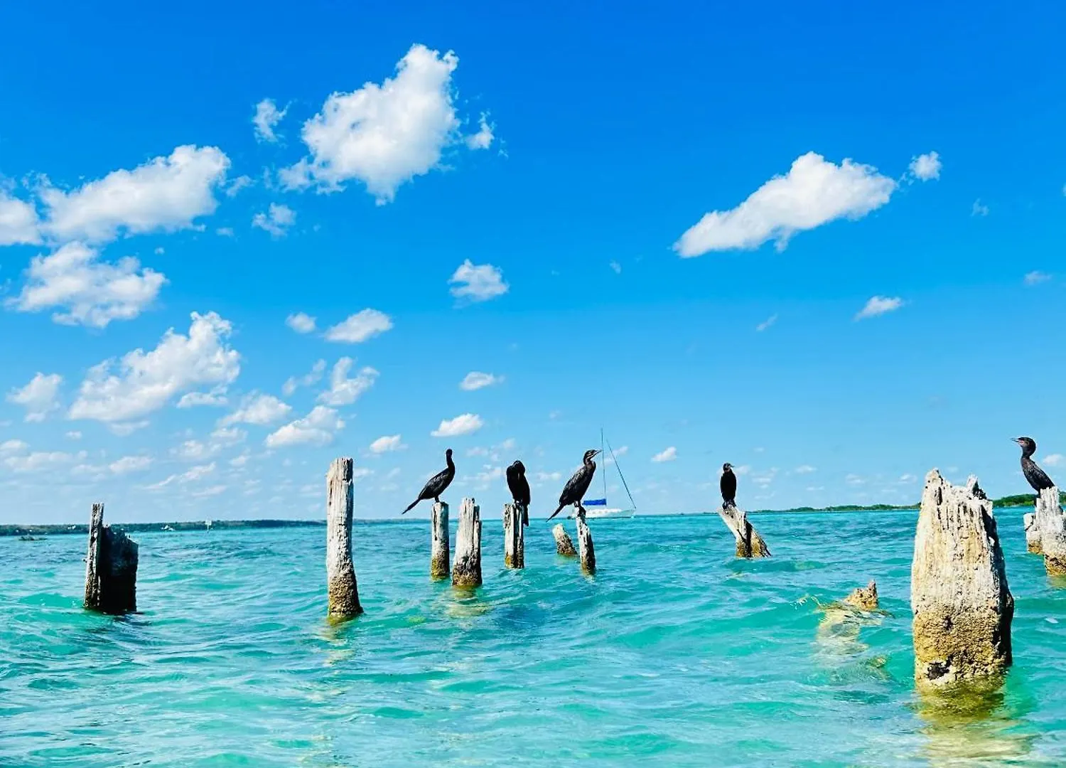 Departamentos Blue Bacalar Apartment